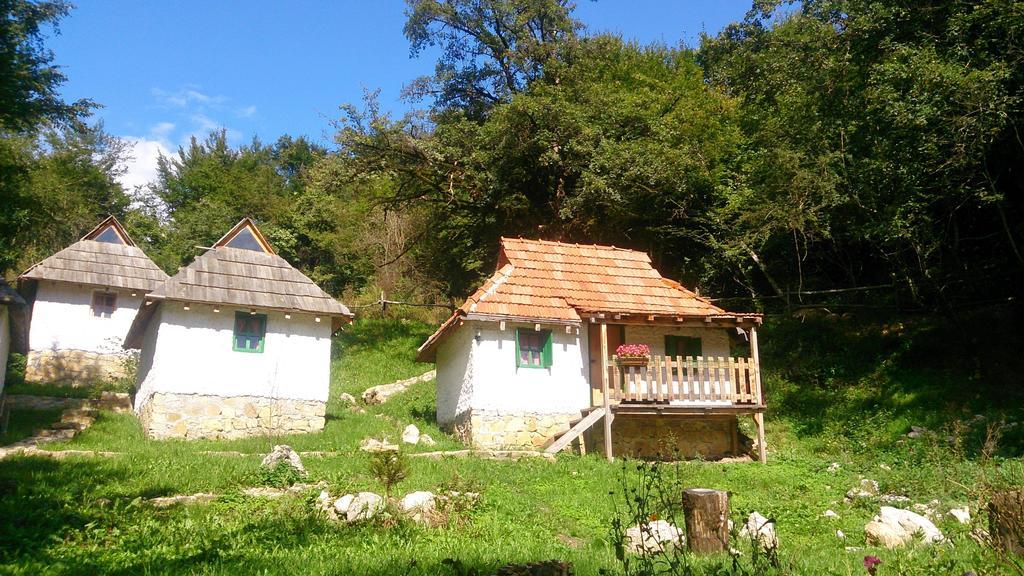 Camp Divlja Rijeka Hotel Hum Ngoại thất bức ảnh