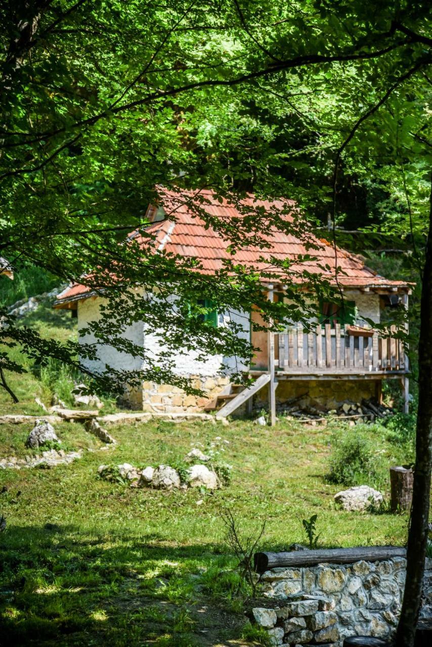Camp Divlja Rijeka Hotel Hum Ngoại thất bức ảnh